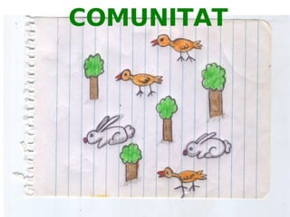 Principis bàsics d'ecologia