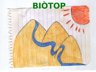 Principis bàsics d'ecologia