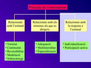Principis de l’entrenament



  Relacionats        Relacionats amb els      Relacionats amb
 amb l’estímul       sistemes als que es       la resposta a
                           dirigeix              l’estímul



• Varietat             • Adequació          • Individualització
• Continuitat          • Multilateralitat   • Participació activa
• Reversibilitat       • Especialització
• Modelació
• Sobrecàrrega
 