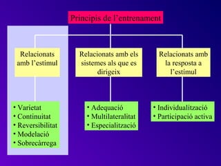 Principis de l’entrenament



  Relacionats        Relacionats amb els      Relacionats amb
 amb l’estímul       sistemes als que es       la resposta a
                           dirigeix              l’estímul



• Varietat             • Adequació          • Individualització
• Continuitat          • Multilateralitat   • Participació activa
• Reversibilitat       • Especialització
• Modelació
• Sobrecàrrega
 