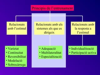 Principis de l’entrenament



  Relacionats        Relacionats amb els      Relacionats amb
 amb l’estímul       sistemes als que es       la resposta a
                           dirigeix              l’estímul



• Varietat             • Adequació          • Individualització
• Continuitat          • Multilateralitat   • Participació activa
• Reversibilitat       • Especialització
• Modelació
• Sobrecàrrega
 