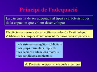 Principi de l'adequació
La càrrega ha de ser adequada al tipus i característiques
de la capacitat que volem desenvolupar

Els efectes entrenants són específics en relació a l’estímul que
s'utilitza en les tasques d’entrenament. Per això cal adequar-les a:

        • els sistemes energètics sol·licitats
        • als grups musculars implicats
        • les accions i situacions motrius
        • les condicions ambientals

               de l’activitat o esports pels quals s’entrena
 