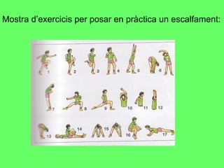 Mostra d’exercicis per posar en pràctica un escalfament: 