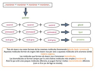 ...monòmer + monòmer + monòmer + monòmer...




                      polímer


   sacàrid                  sacàrid                  sacàrid                             glúcid


 aminoàcid                aminoàcid                 aminoàcid                             lípid


  àcid gras                àcid gras                 àcid gras                         proteïna



   Tots els éssers vius estan formats de les mateixes molècules fonamentals (glúcids, lípids i proteïnes).
Aquestes molècules formen els òrgans dels éssers vius per això a aquestes molècules se’ls anomena també
                                             matèria orgànica.
                    Les molècules que formen els éssers vius s’anomenen biomolècules.
      Les biomolècules es formen sempre per la unió d’altres molècules més simples (monòmers).
  Això fa que amb unes poques molècules diferents, es puguin formar moltes macromolècules diferents
                                   (com si d’un joc de lego es tractés).
 