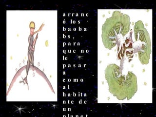 arrancó los baobabs, para que no le pasara como al habitante de un planeta vecino.... 