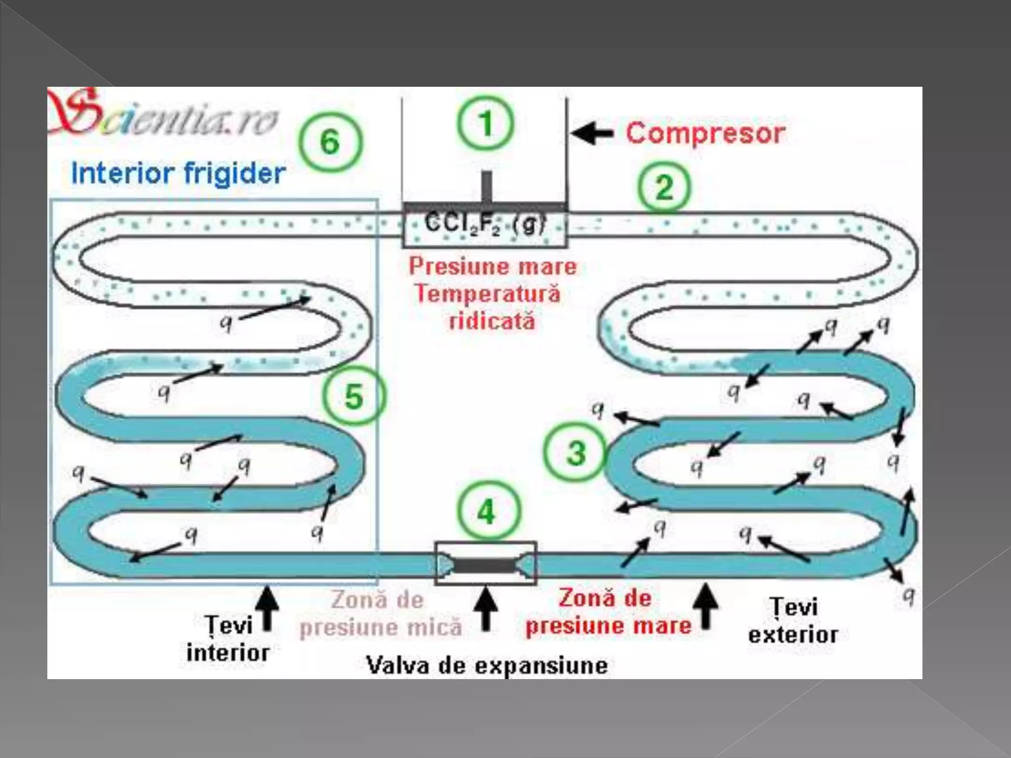 Principiul frigiderului | PPTX
