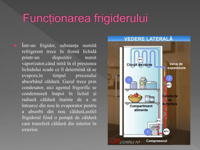 Principiul frigiderului | PPTX