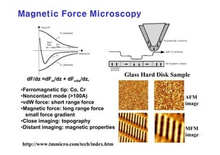 Principle Of A F S | PDF