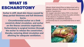Principle and management of burn injury.pdf
