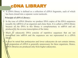 cDNA LIBRARY
 A cDNA library is defined as a collection of cDNA fragments, each of which
has been cloned into a separate vector molecule.
Principle of cDNA Library:
 In the case of cDNA libraries we produce DNA copies of the RNA sequences
(usually the mRNA) of an organism and clone them. It is called a cDNA library
because all the DNA in this library is complementary to mRNA and are
produced by the reverse transcription of the latter.
 Much of eukaryotic DNA consists of repetitive sequences that are not
transcribed into mRNA and the sequences are not represented in a cDNA
library.
 It must be noted that prokaryotes and lower eukaryotes do not contain introns,
and preparation of cDNA is generally unnecessary for these organisms. Hence,
cDNA libraries are produced only from higher eukaryotes.
 