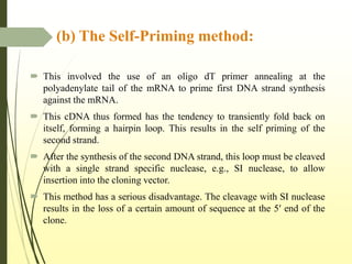 (b) The Self-Priming method:
 This involved the use of an oligo dT primer annealing at the
polyadenylate tail of the mRNA to prime first DNA strand synthesis
against the mRNA.
 This cDNA thus formed has the tendency to transiently fold back on
itself, forming a hairpin loop. This results in the self priming of the
second strand.
 After the synthesis of the second DNA strand, this loop must be cleaved
with a single strand specific nuclease, e.g., SI nuclease, to allow
insertion into the cloning vector.
 This method has a serious disadvantage. The cleavage with SI nuclease
results in the loss of a certain amount of sequence at the 5′ end of the
clone.
 