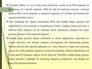 A genomic library is a set of clones that collectively contain every DNA sequence in
the genome of a specific organism. With the help of restriction enzymes, extracted
genome DNA can be prepared as numerous fragments (15-20 kbp) and inserted into
engineered lambda vectors.
After packaging the ligated recombinant DNA into lambda phage particles and
amplification in host bacterial, a comprehensive library of phage clones each carry a
different DNA fragment can be obtained, which collectively constitute the whole
genome sequence of the indicated organism.
Lambda phage genomic library contributes to various applications, especially for
antigen discovery and immune response investigations. By constructing genome
libraries derived from specific pathogens (i.e. virus, bacteria or organ) and screening
against the whole antibody repertoire of infected individuals, efficient identification of
a large panel of antigenic regions can be achieved. Therefore, lambda phage genome
library provides a highlight for improving diagnosis, prophylaxis, and therapy for
many life-threatening diseases.
 
