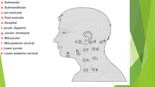 a. Submental
b. Submandibular
c. pre auricular
d. Post auricular
e. Occipital
f. juculo. digastric
g. Juculo omohyoid
h. Mid jucular
i. Mid posteriar cervical
j. Lower jucular
k. Lower posterior cervical
 
