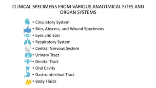 Principle laboratory diagnosis of infectious diseases | PPTX
