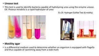 Principle laboratory diagnosis of infectious diseases | PPTX