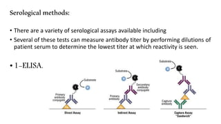 Principle laboratory diagnosis of infectious diseases | PPTX