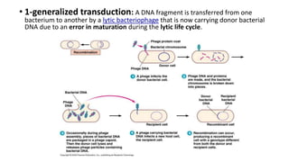 Principle laboratory diagnosis of infectious diseases | PPTX