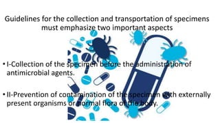Principle laboratory diagnosis of infectious diseases | PPTX