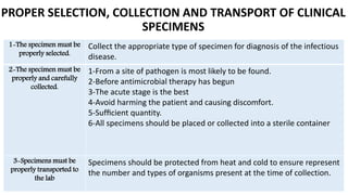 Principle laboratory diagnosis of infectious diseases | PPTX