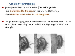Principle of Animal GeneticsCHAPTER 4 & 5.ppt