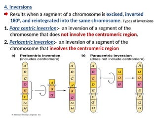 Principle of Animal GeneticsCHAPTER 4 & 5.ppt