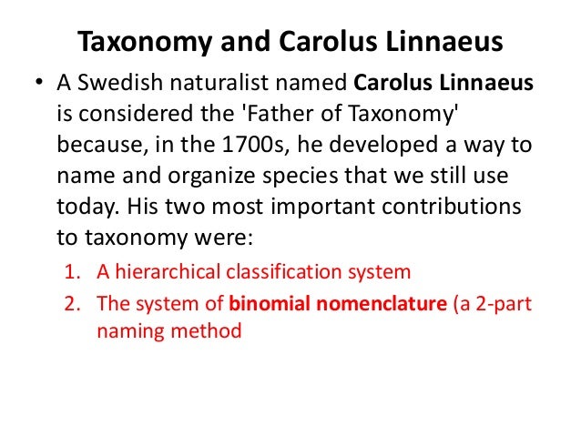 Carolus Linnaeus Classification Taxonomy Contributions