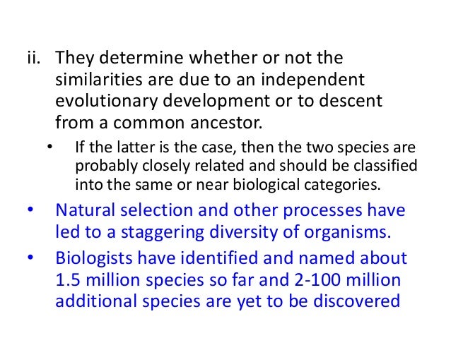 classification of living organisms into categories based on evolutionary and structural relationship Modern classification also attempts to show the evolutionary relationships among organisms the science of the classification of living things classification organization of organisms into categories based on appearance, structure. classification of living organisms into categories based on evolutionary and structural relationship Modern classification also attempts to show the evolutionary relationships among organisms the science of the classification of living things classification organization of organisms into categories based on appearance, structure.
