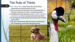 The Rule of Thirds
22  The Rule of Thirds refers to the idea of dividing a
composition into thirds based on a grid.
 The most important elementsof the composition fall on
the lines in between to create a strong composition.
 A slightly off center balance is more visually interesting
and harmonious than an evenly centered composition.
 A rectangle has been divided horizontally and vertically
by four lines.
 The rule of thirds states that the centers of interest for
any rectangle lie somewhere along those lines.
 