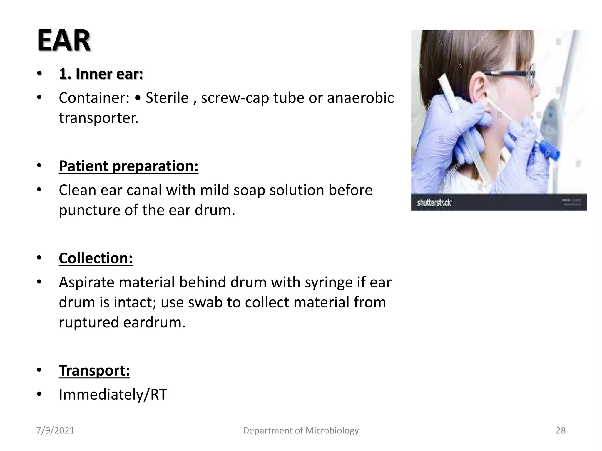 Principle of diagnostic methods collection storage and transport of ...