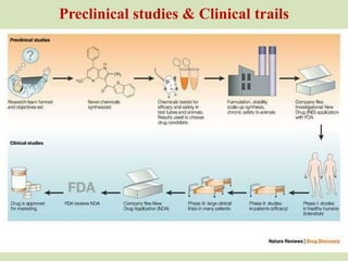 Comprehensive Principles and Stages of Drug Discovery and Development ...