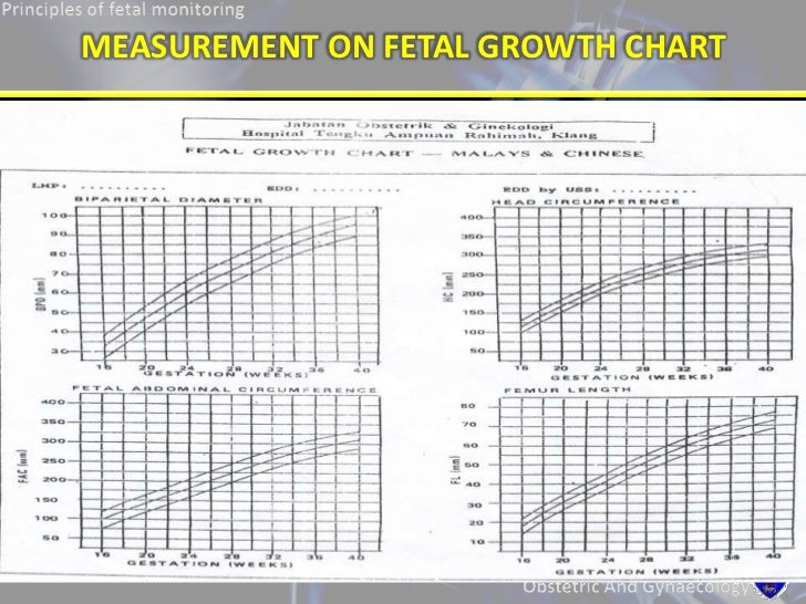 Fetal Growth Parameters Chart