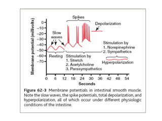 Principle of gastro intestinal function | PPTX