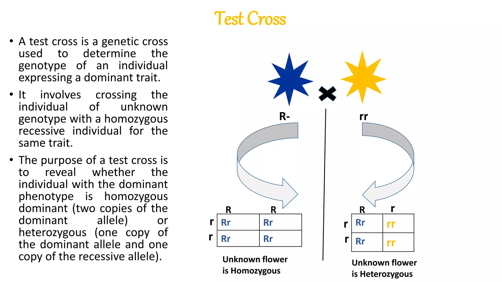 Principle of Genetics.pptx