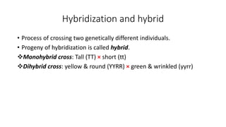 Hybridization and hybrid
• Process of crossing two genetically different individuals.
• Progeny of hybridization is called hybrid.
Monohybrid cross: Tall (TT) × short (tt)
Dihybrid cross: yellow & round (YYRR) × green & wrinkled (yyrr)
 