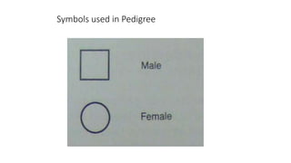 Symbols used in Pedigree
 