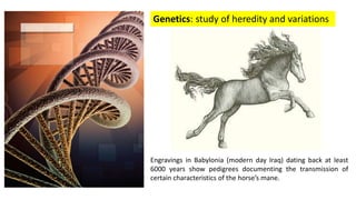 Genetics: study of heredity and variations
Engravings in Babylonia (modern day Iraq) dating back at least
6000 years show pedigrees documenting the transmission of
certain characteristics of the horse’s mane.
 