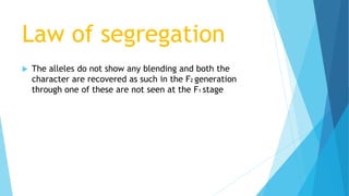 Law of segregation
 The alleles do not show any blending and both the
character are recovered as such in the F2 generation
through one of these are not seen at the F1 stage
 