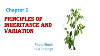 Principle of inheritance Chapter 4 NCERT | PPTX