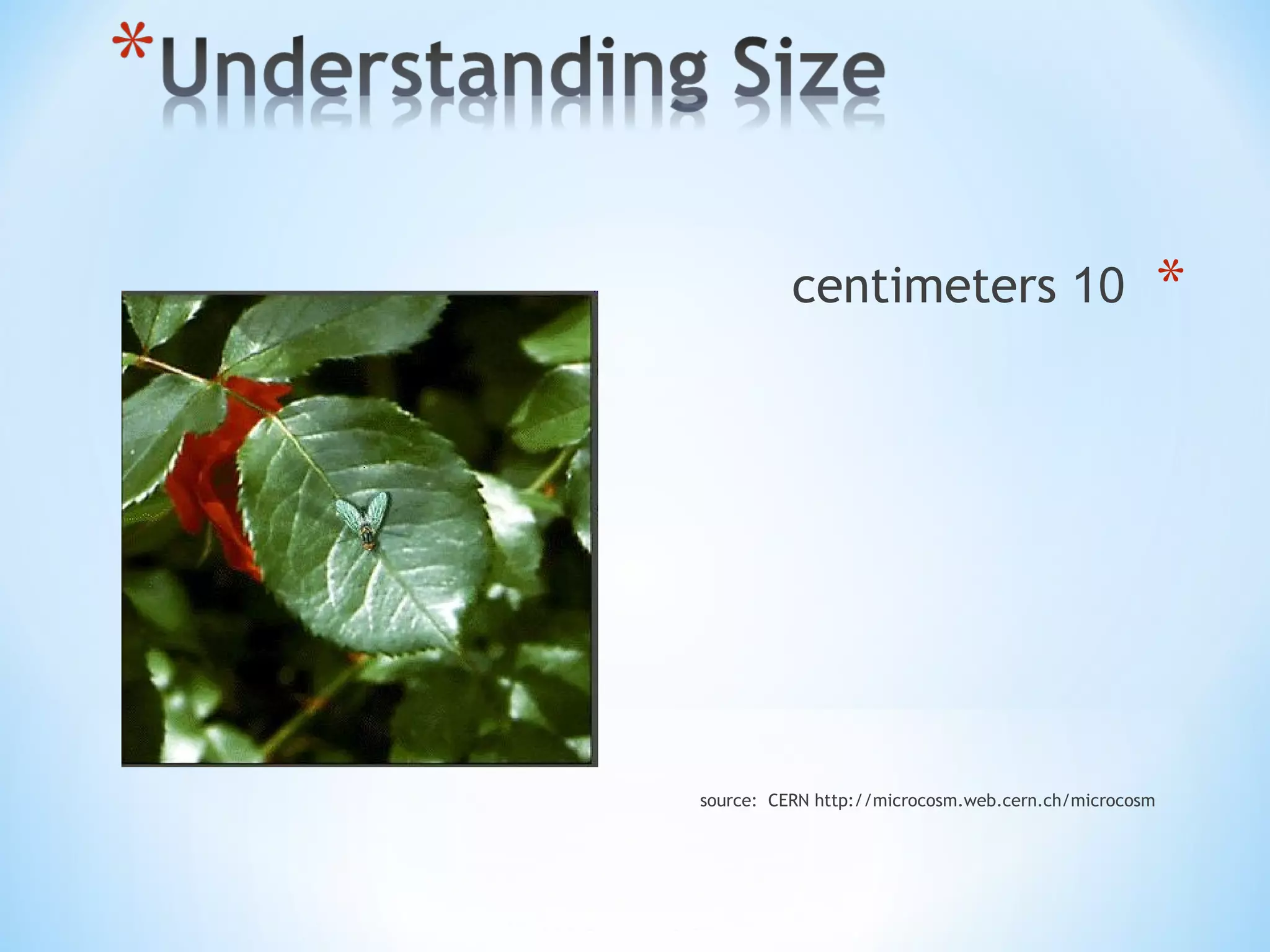 *10centimeters
source: CERN http://microcosm.web.cern.ch/microcosm
 