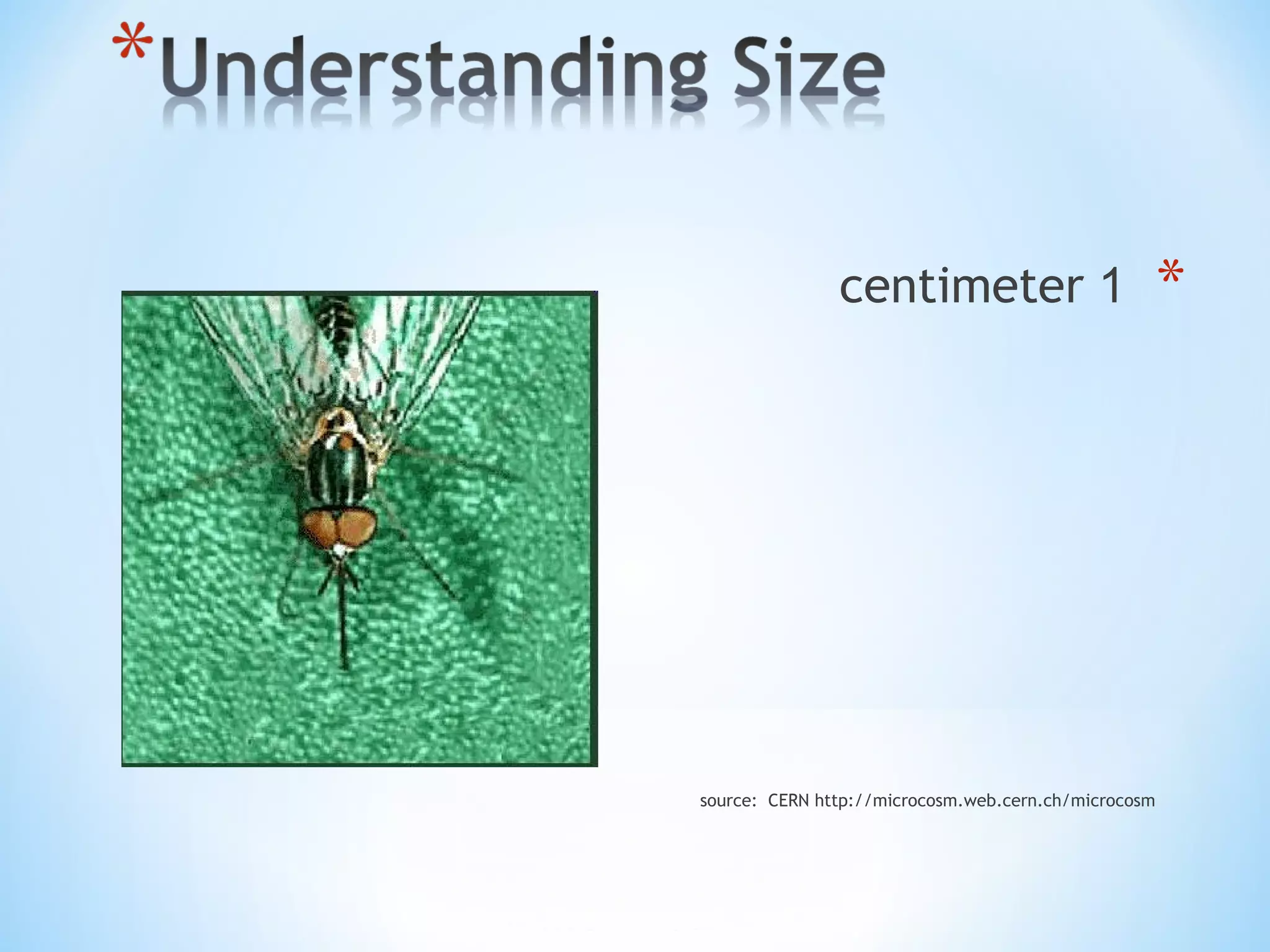 *1centimeter
source: CERN http://microcosm.web.cern.ch/microcosm
 