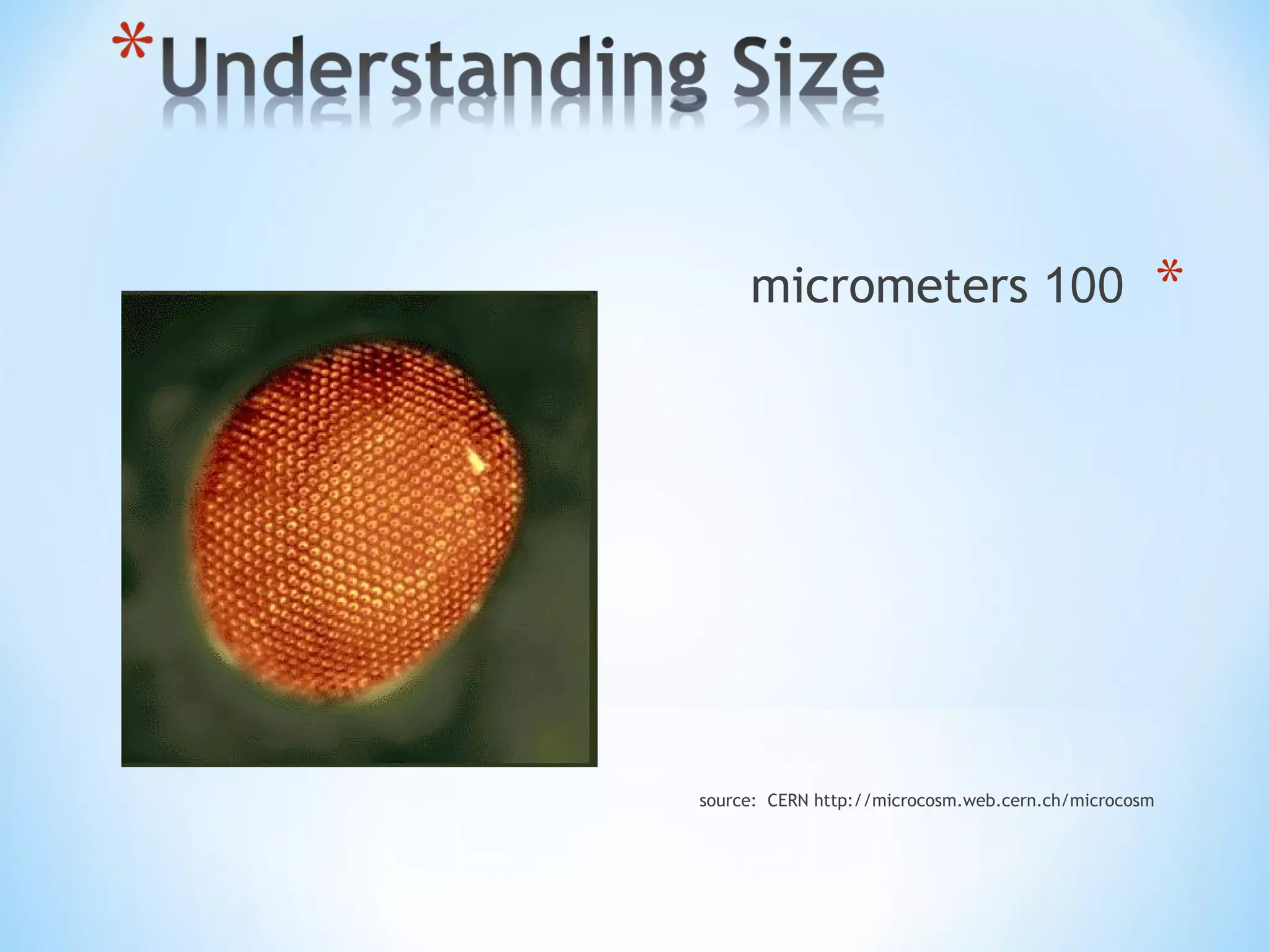 *100micrometers
source: CERN http://microcosm.web.cern.ch/microcosm
 
