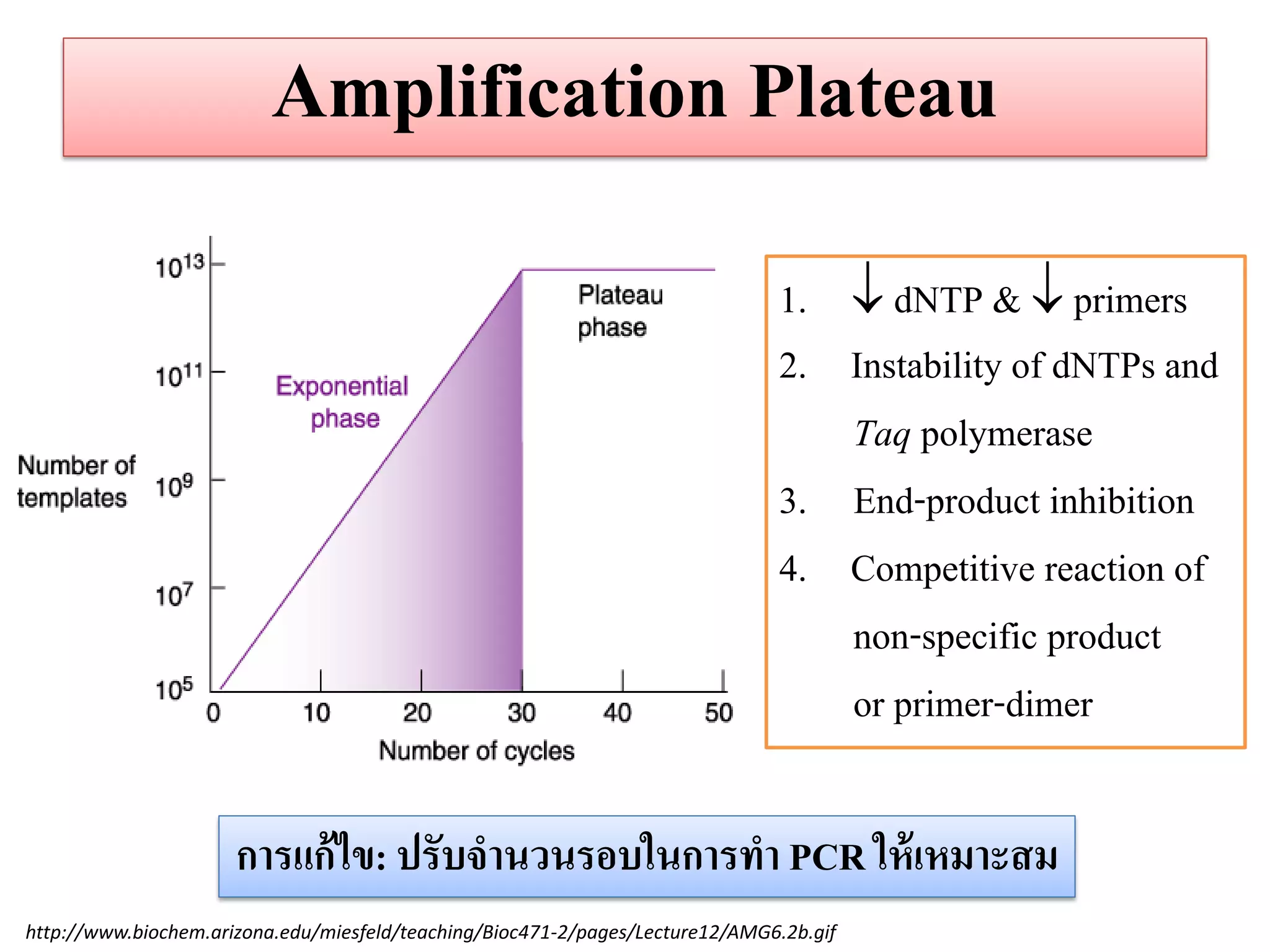 Amplification Plateau 
http://www.biochem.arizona.edu/miesfeld/teaching/Bioc471-2/pages/Lecture12/AMG6.2b.gif 
1. dNTP &  primers 
2.Instability of dNTPs and Taq polymerase 3. End-product inhibition 
4.Competitive reaction of non-specific product or primer-dimer 
กำรแก้ไข: ปรับจำนวนรอบในกำรทำ PCR ให้เหมำะสม  