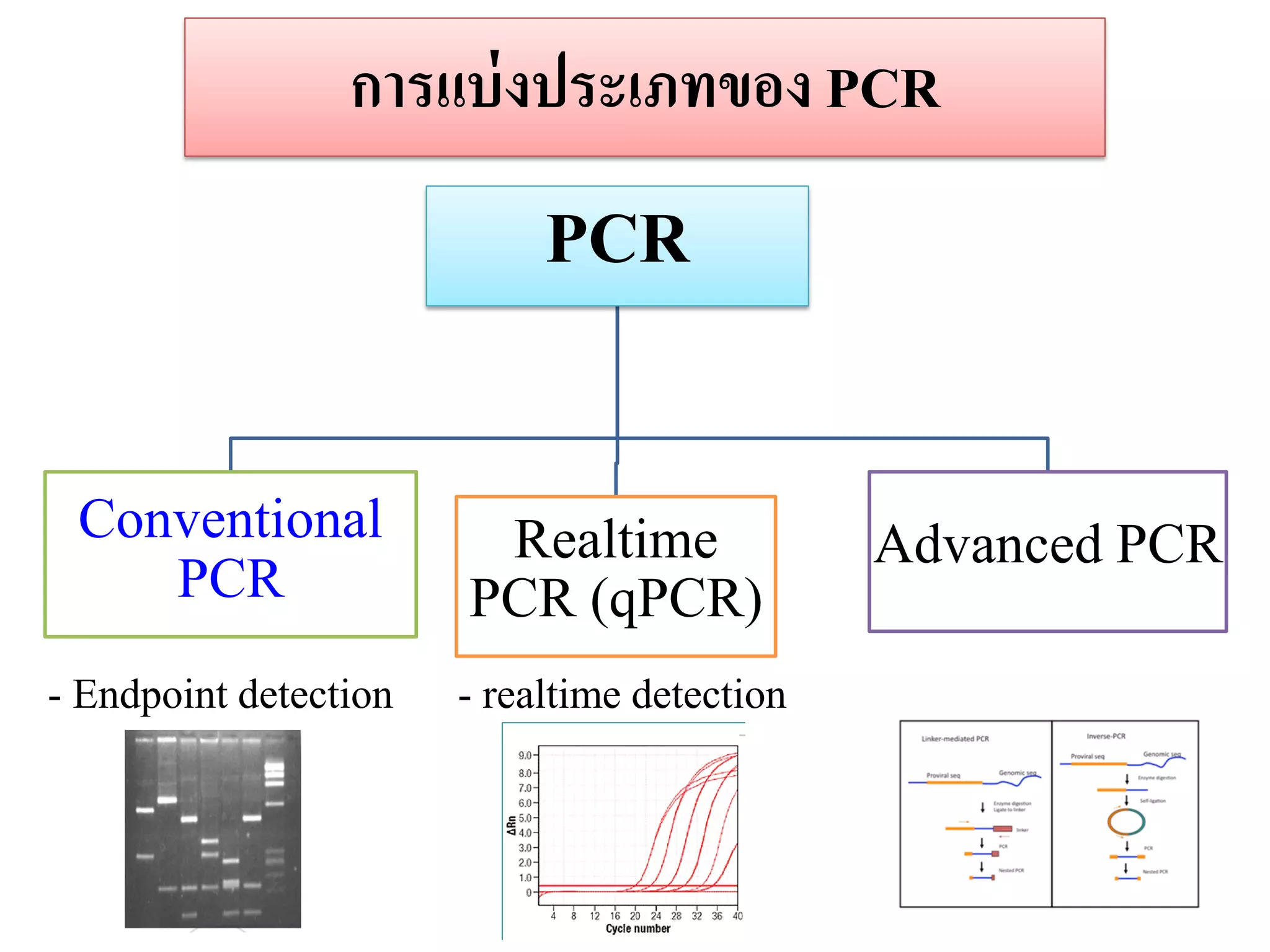 กำรแบ่งประเภทของ PCR 
PCR 
Conventional PCR 
Realtime PCR (qPCR) 
Advanced PCR 
- Endpoint detection 
- realtime detection  