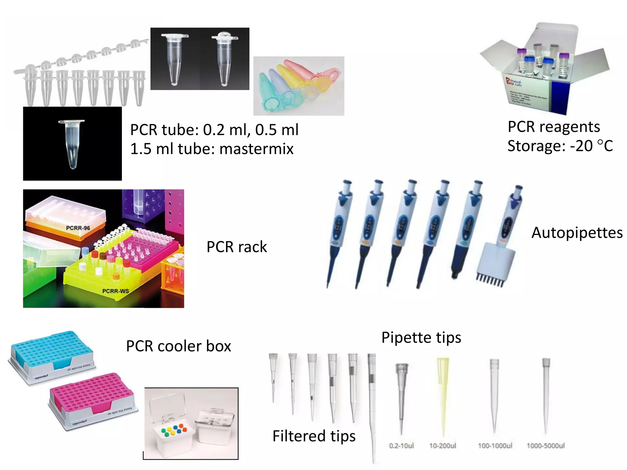 PCR tube: 0.2 ml, 0.5 ml 1.5 ml tube: mastermix 
PCR rack 
PCR reagents 
Storage: -20 C 
PCR cooler box 
Pipette tips 
Autopipettes 
Filtered tips  