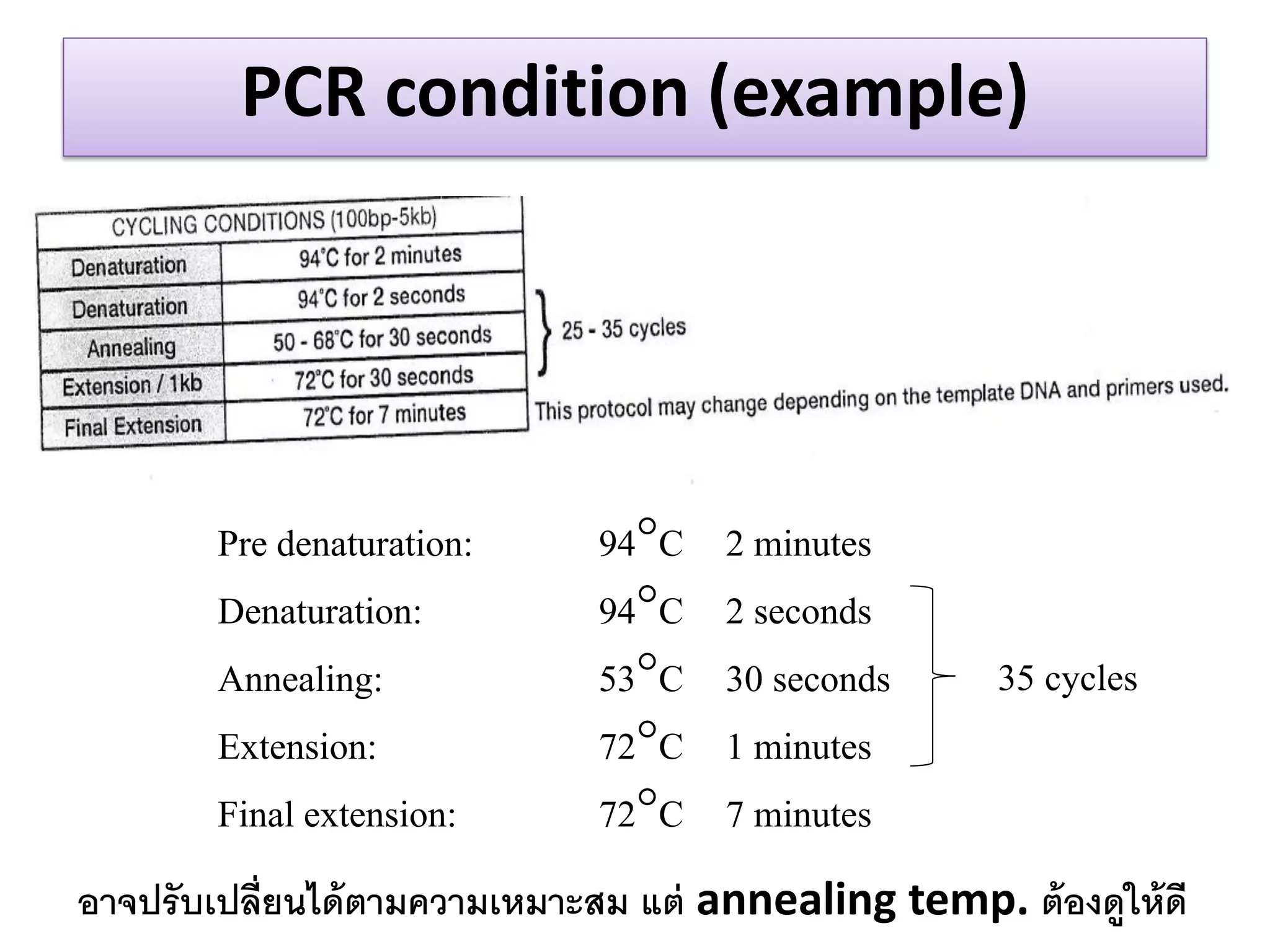PCR condition (example) 
Pre denaturation: 94C 2 minutes 
Denaturation: 94C 2 seconds 
Annealing: 53C 30 seconds 
Extension: 72C 1 minutes 
Final extension: 72C 7 minutes 
35 cycles 
อาจปรับเปลี่ยนได้ตามความเหมาะสม แต่ annealing temp. ต้องดูให้ดี  