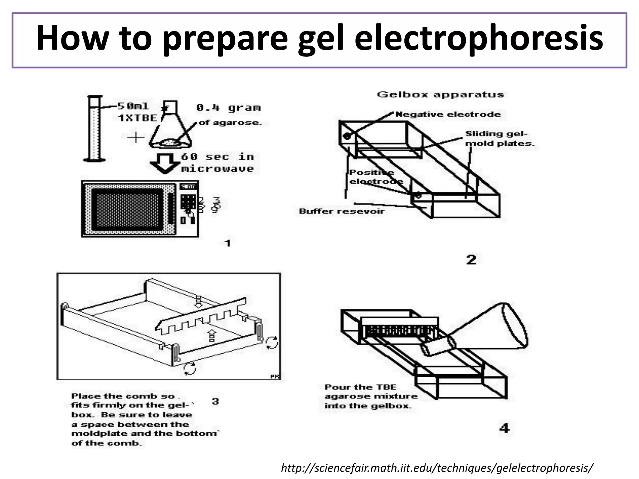 How to prepare gel electrophoresis 
http://sciencefair.math.iit.edu/techniques/gelelectrophoresis/  