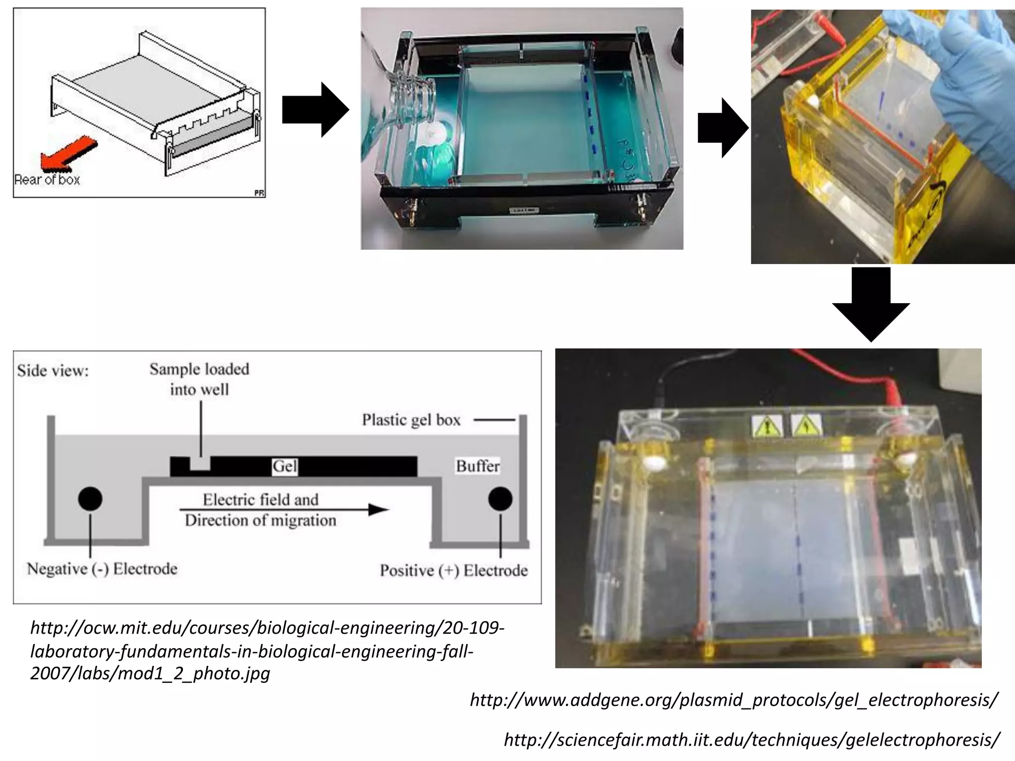 http://www.addgene.org/plasmid_protocols/gel_electrophoresis/ 
http://sciencefair.math.iit.edu/techniques/gelelectrophoresis/ 
http://ocw.mit.edu/courses/biological-engineering/20-109- laboratory-fundamentals-in-biological-engineering-fall- 2007/labs/mod1_2_photo.jpg  