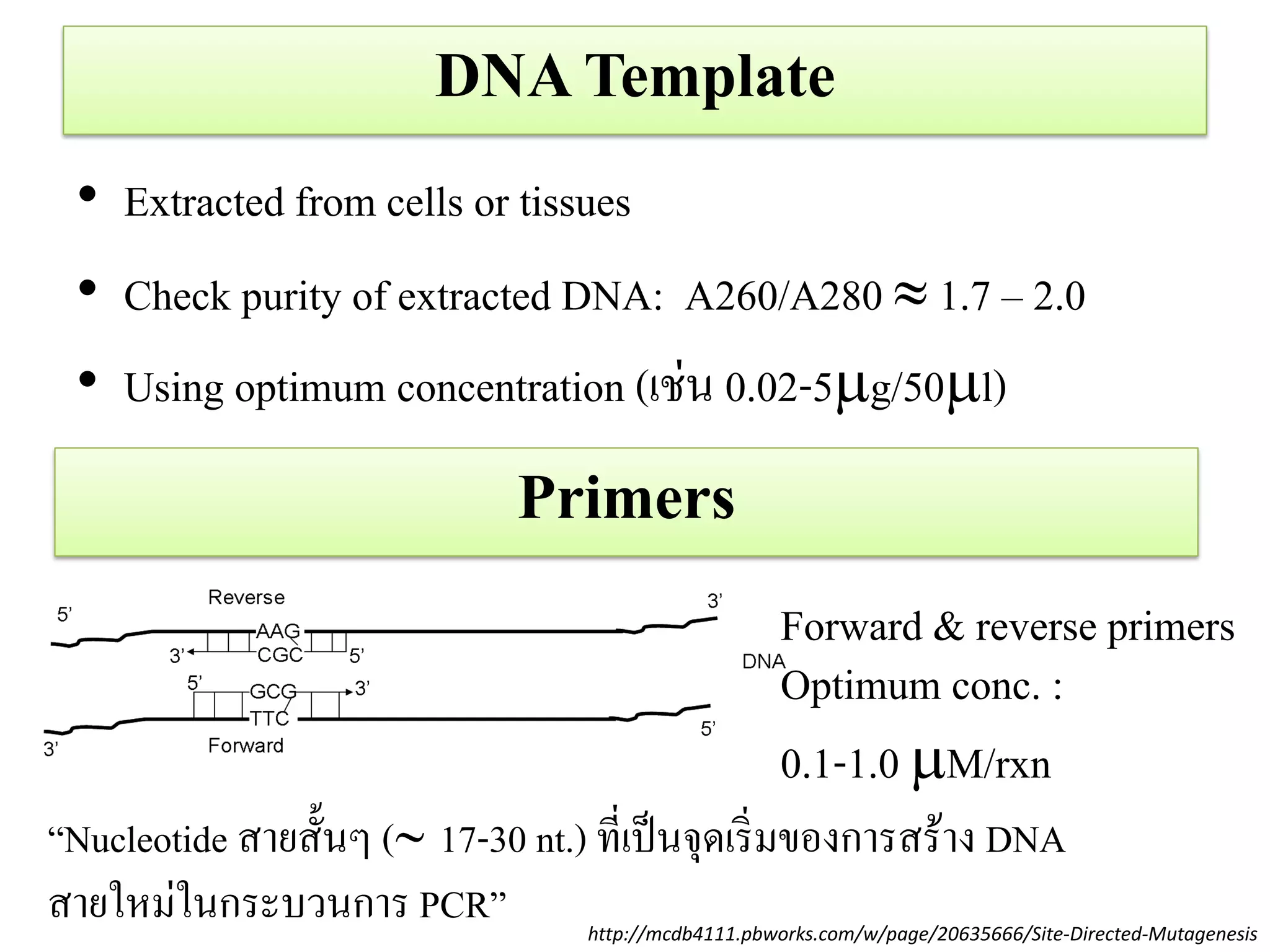 DNA Template 
•Extracted from cells or tissues 
•Check purity of extracted DNA: A260/A280  1.7 – 2.0 
•Using optimum concentration (เช่น 0.02-5g/50l) 
Primers 
http://mcdb4111.pbworks.com/w/page/20635666/Site-Directed-Mutagenesis 
Forward & reverse primers 
Optimum conc. : 
0.1-1.0 M/rxn 
“Nucleotide สายสั้นๆ (17-30 nt.) ที่เป็นจุดเริ่มของการสร้าง DNA 
สายใหม่ในกระบวนการ PCR”  