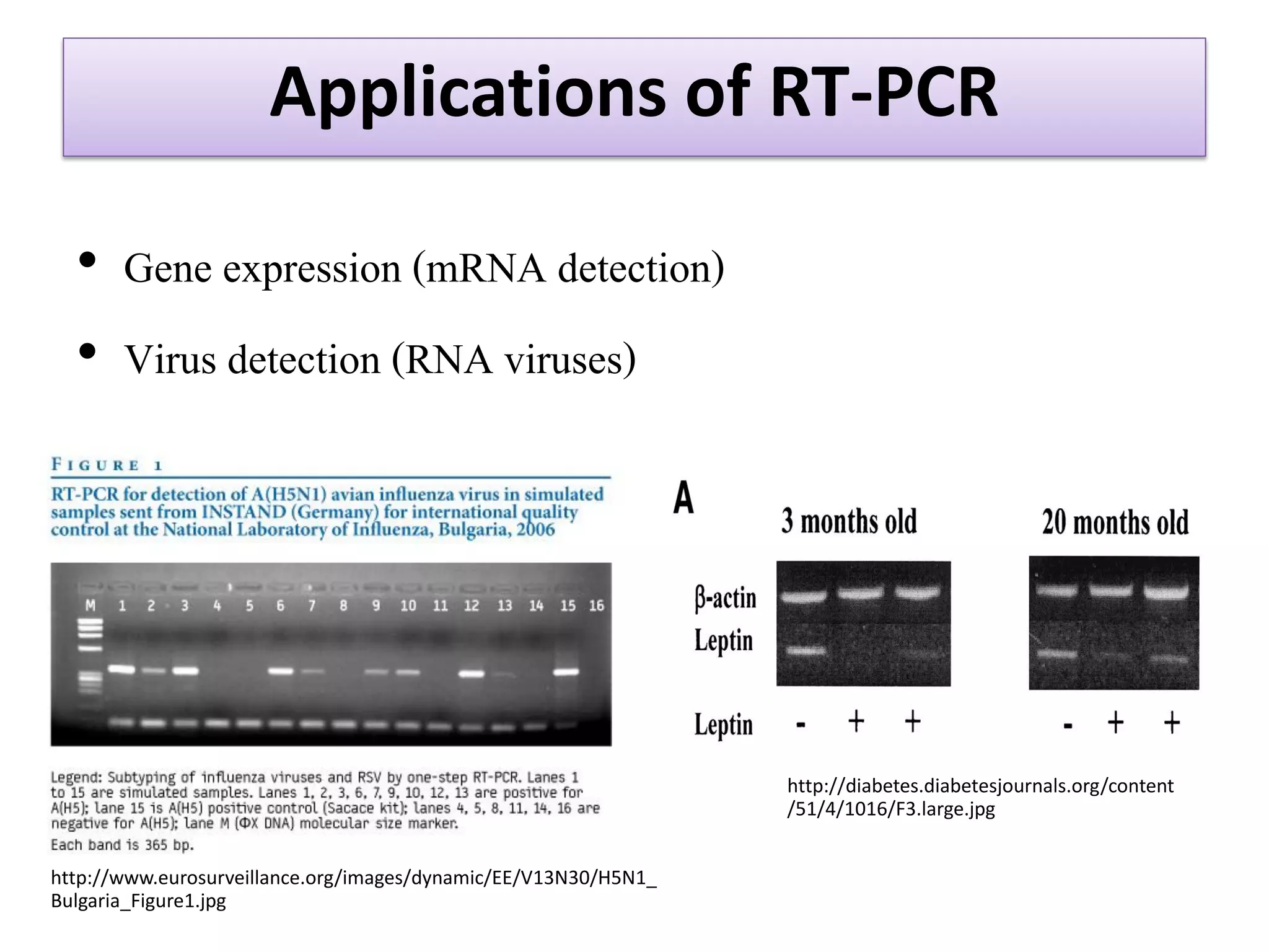 Applications of RT-PCR 
•Gene expression (mRNA detection) 
•Virus detection (RNA viruses) 
http://www.eurosurveillance.org/images/dynamic/EE/V13N30/H5N1_ Bulgaria_Figure1.jpg 
http://diabetes.diabetesjournals.org/content 
/51/4/1016/F3.large.jpg  