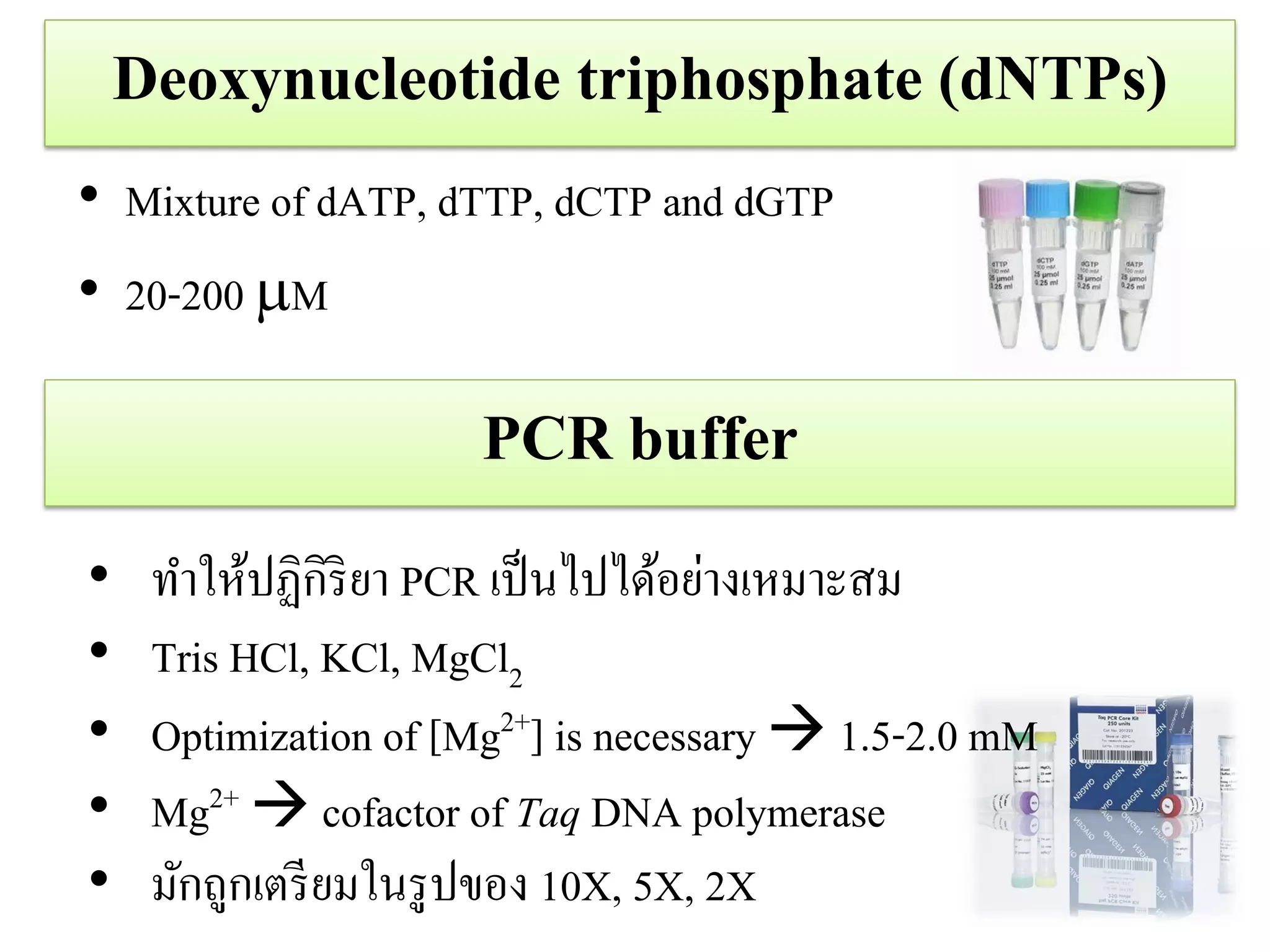 Deoxynucleotide triphosphate (dNTPs) 
•Mixture of dATP, dTTP, dCTP and dGTP 
•20-200 M 
PCR buffer 
•ทาให้ปฏิกิริยา PCR เป็นไปได้อย่างเหมาะสม 
•Tris HCl, KCl, MgCl2 
•Optimization of [Mg2+] is necessary  1.5-2.0 mM 
•Mg2+  cofactor of Taq DNA polymerase 
•มักถูกเตรียมในรูปของ 10X, 5X, 2X  